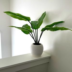 Faux Banana Plant